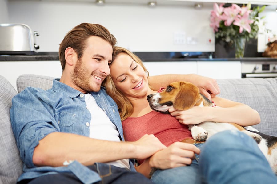 Couple sitting on their couch with a dog